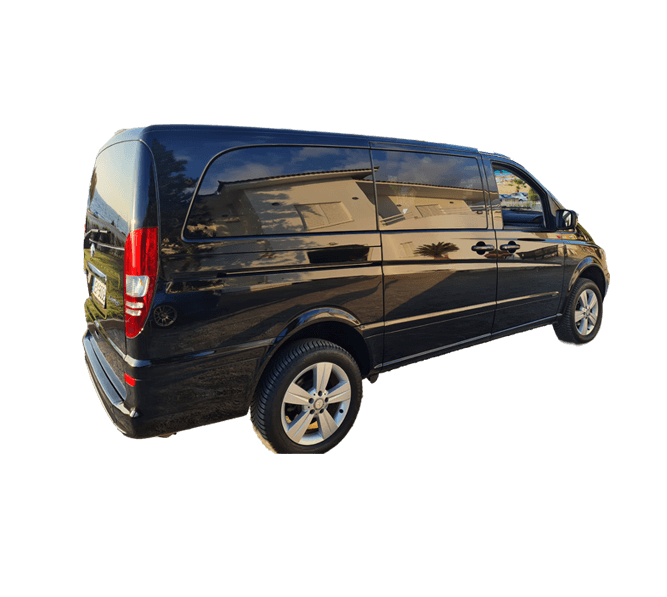 Mercedes Viano